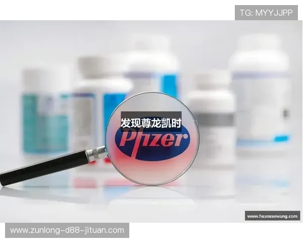 尊龙凯时国际：多元化的游戏选择与安全保障，满足不同玩家的娱乐需求与资金安全保障