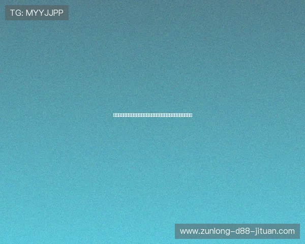 尊龙会官网会员登录入口安全保障措施,保障用户个人信息与资金安全